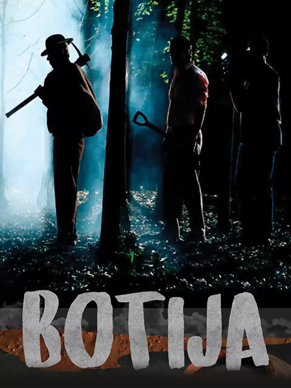 Botija